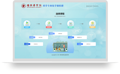 药学专业化学课程群